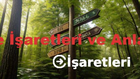 Define İşaretleri ve Anlamları