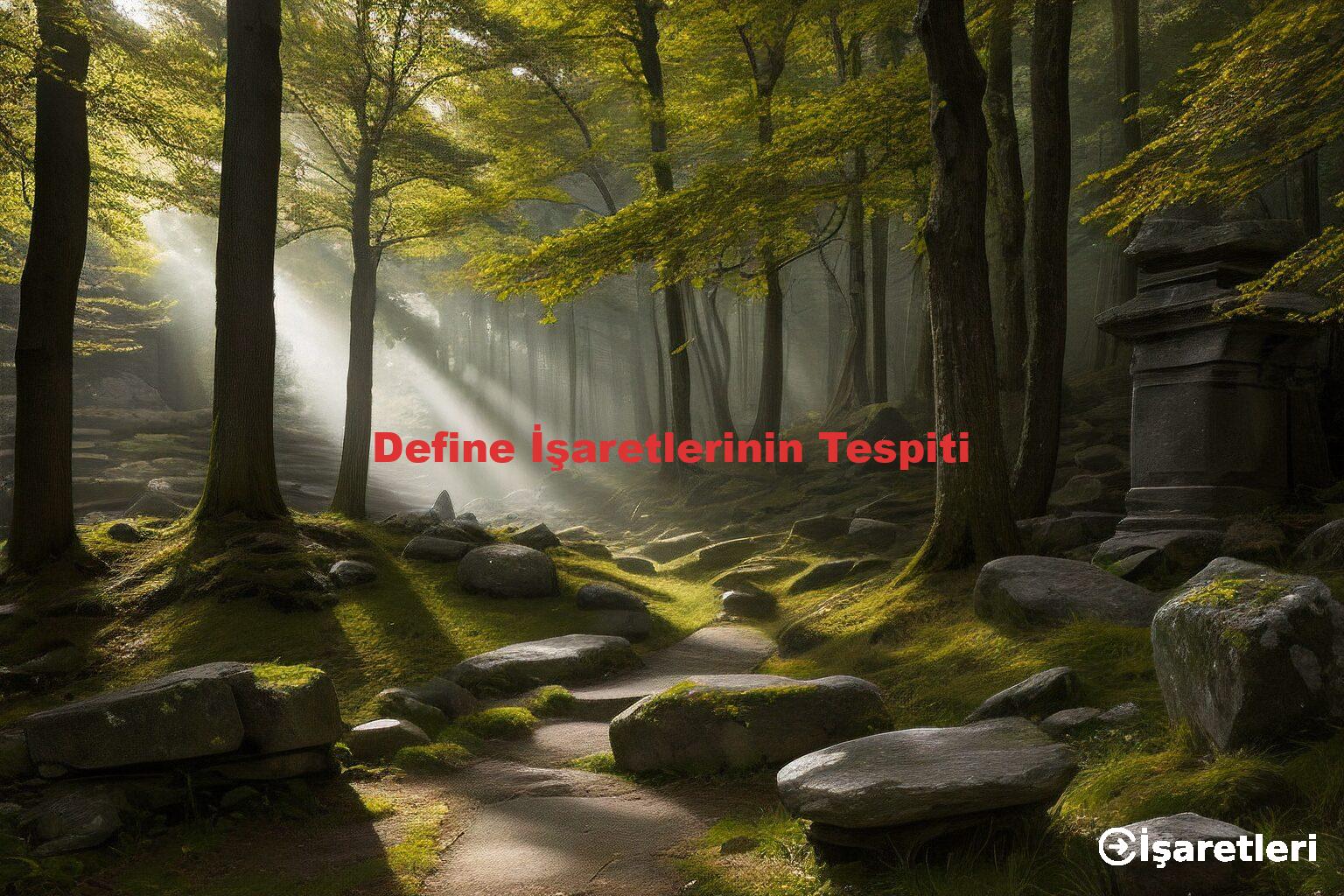 Define İşaretlerinin Tespiti