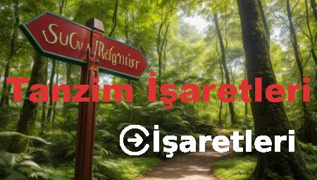 Tanzim İşaretleri