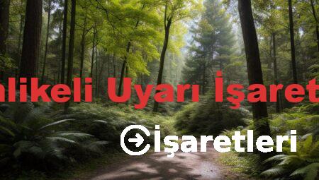 Tehlikeli Uyarı İşaretleri
