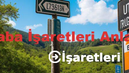 Araba İşaretleri Anlamı