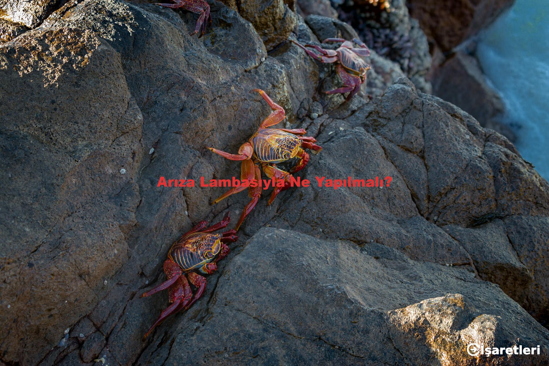 Arıza Lambasıyla Ne Yapılmalı?