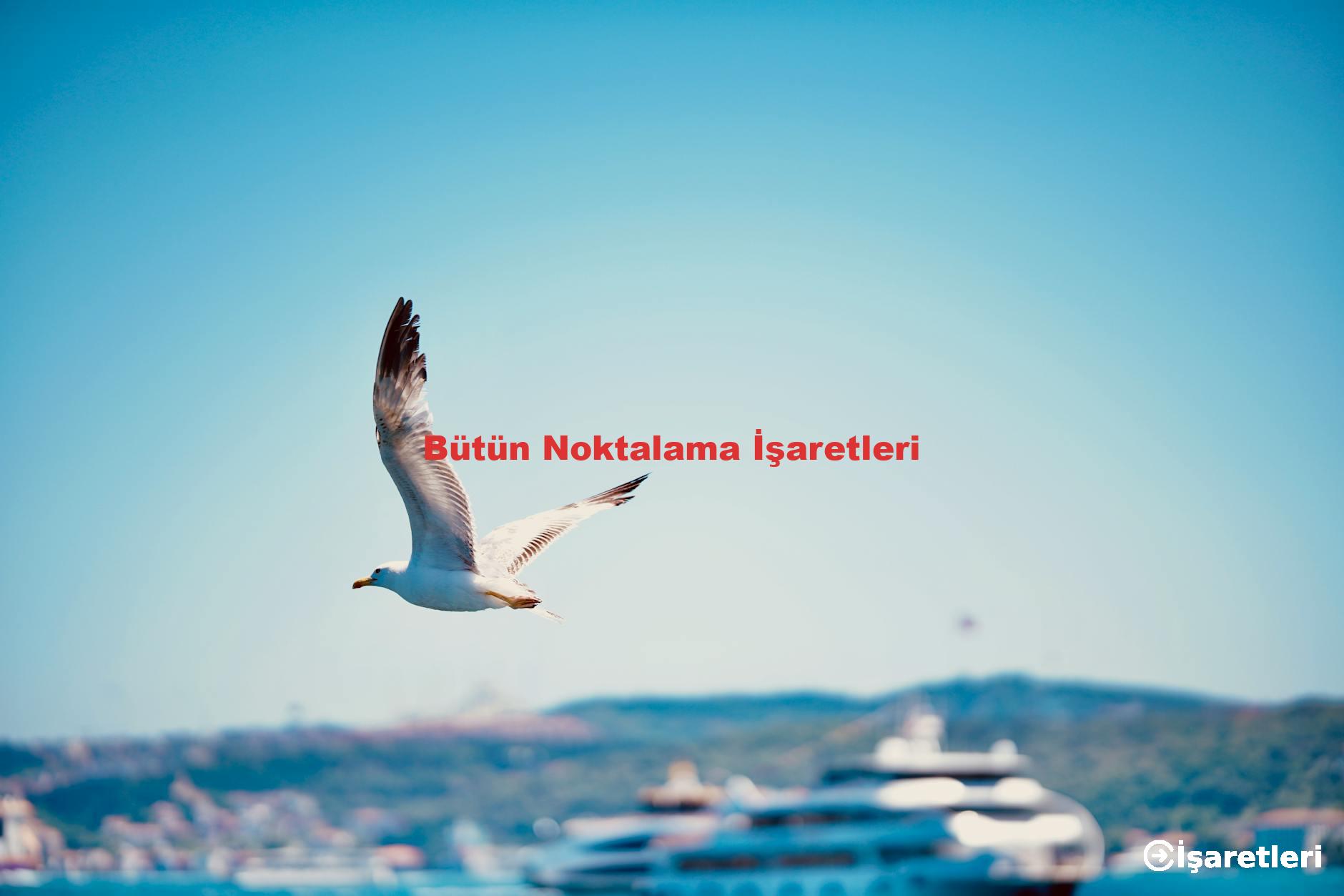 Bütün Noktalama İşaretleri