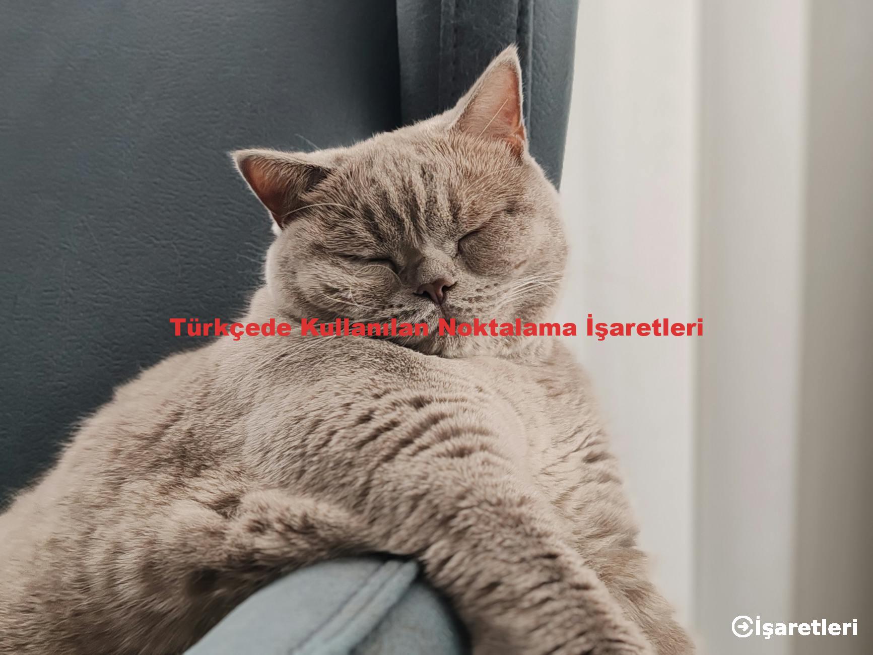 Türkçede Kullanılan Noktalama İşaretleri