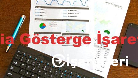 Dacia Gösterge İşaretleri