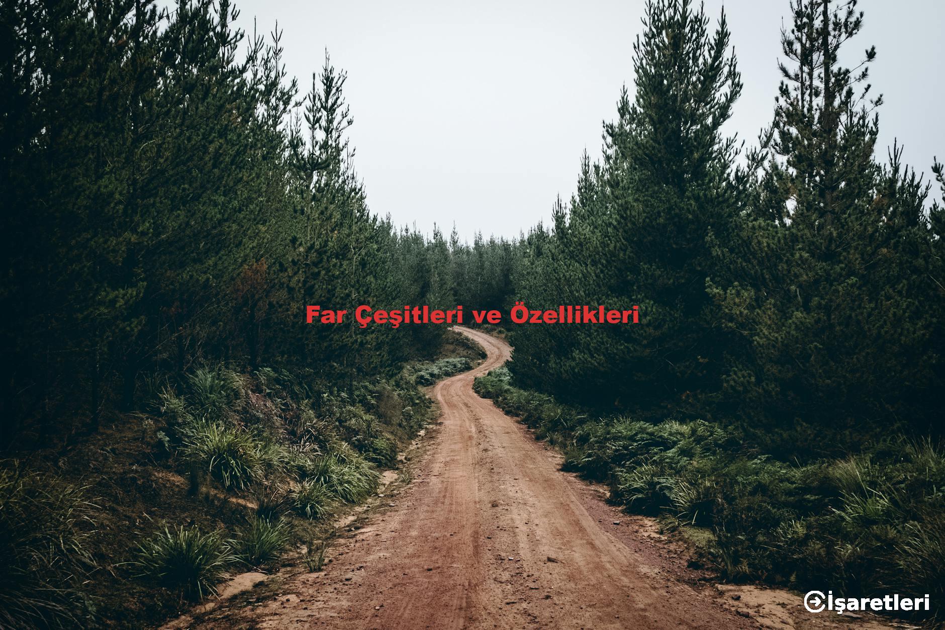 Far Çeşitleri ve Özellikleri