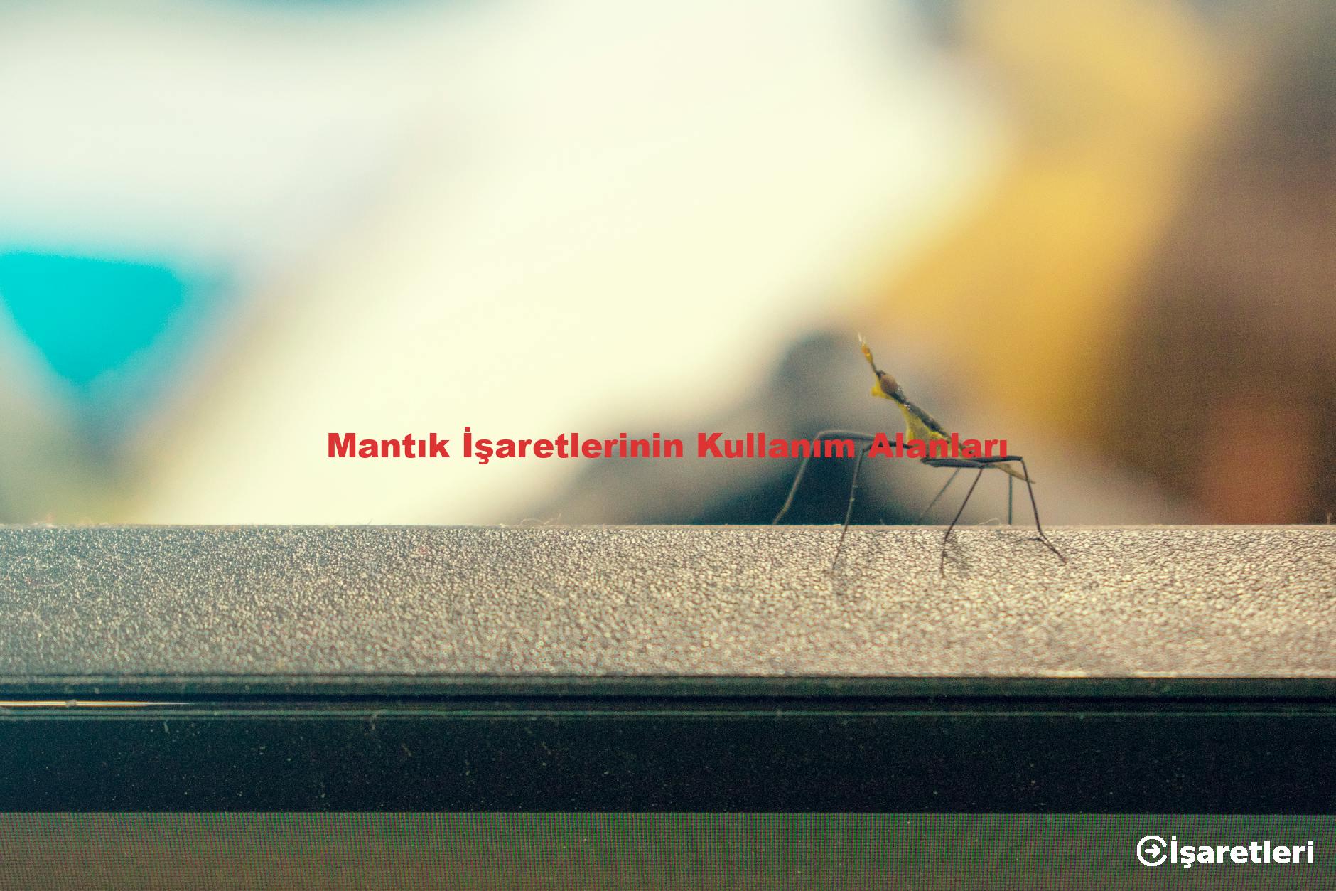 Mantık İşaretlerinin Kullanım Alanları