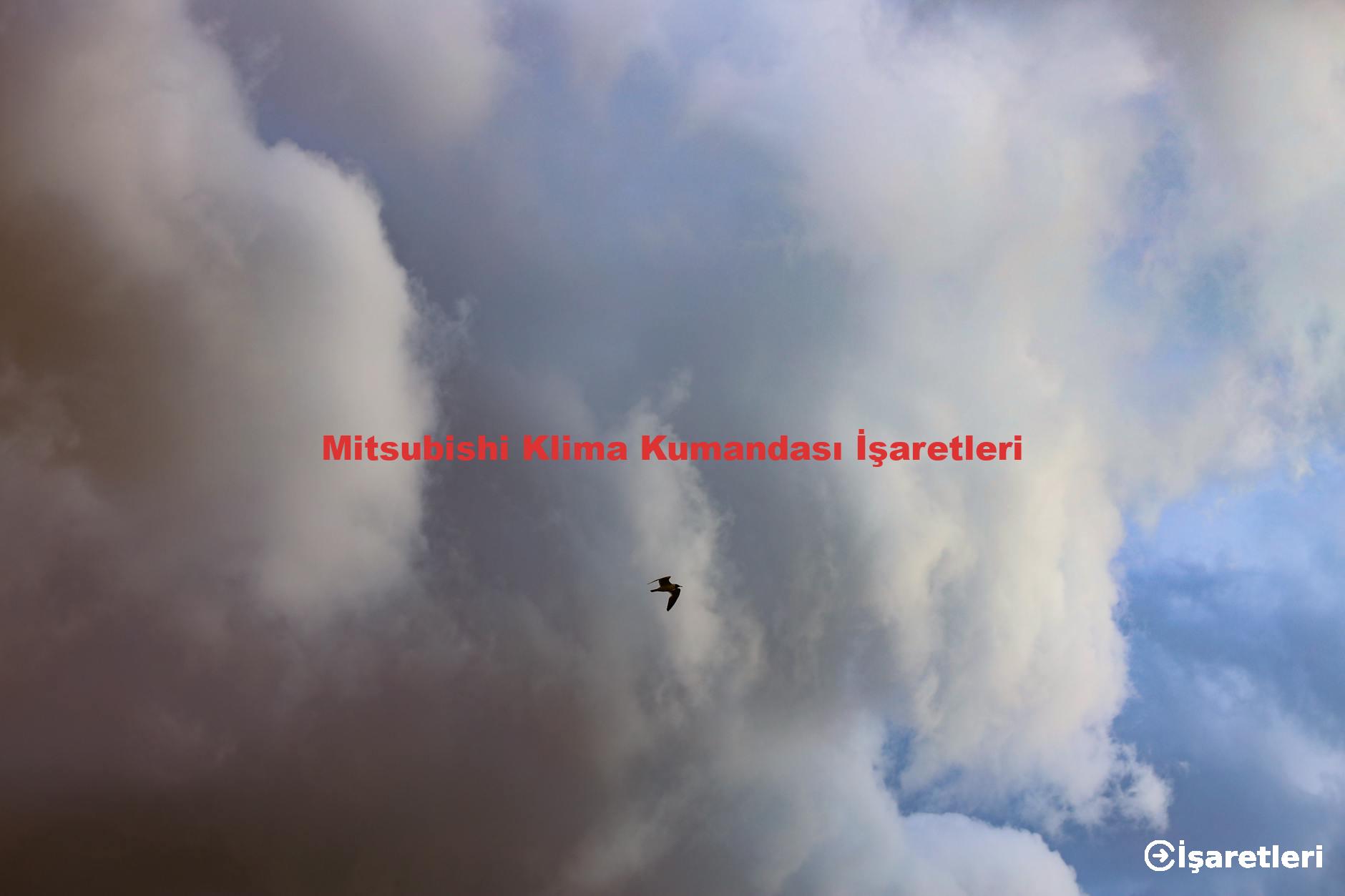 Mitsubishi Klima Kumandası İşaretleri