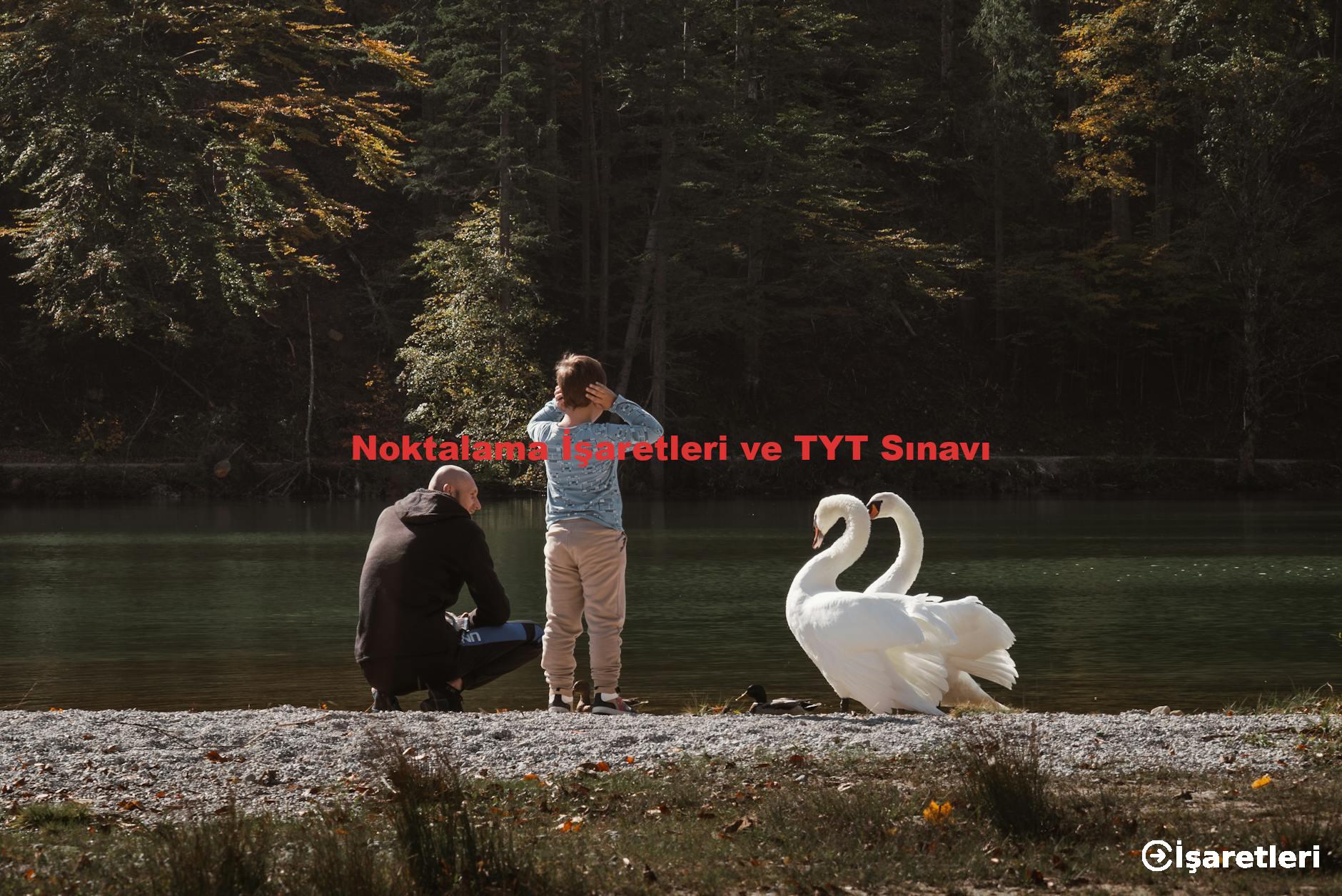 Noktalama İşaretleri ve TYT Sınavı