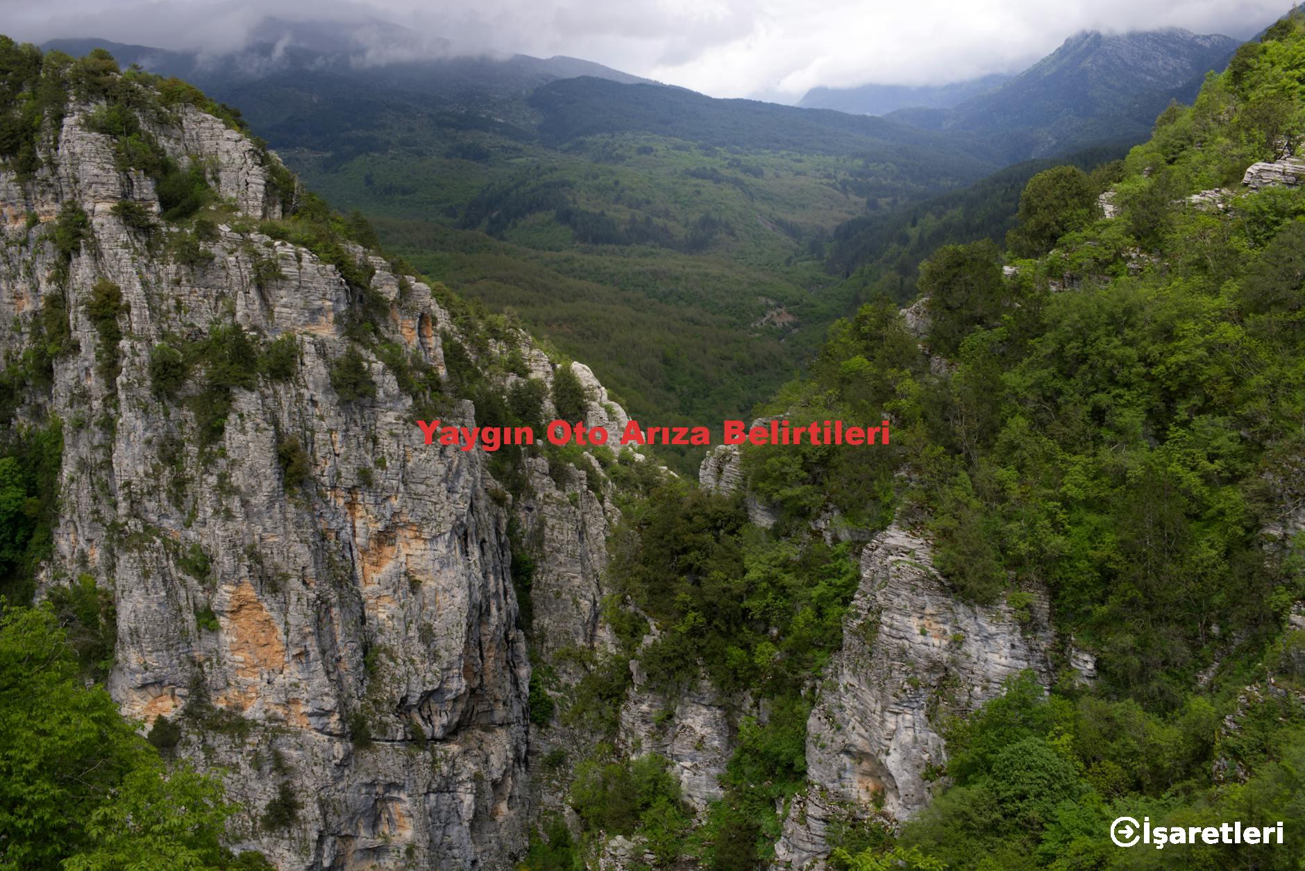 Yaygın Oto Arıza Belirtileri