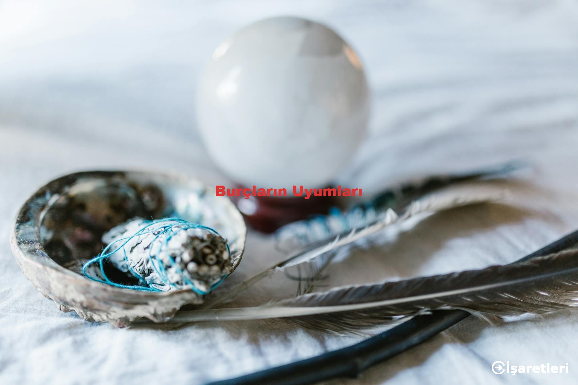 Burçların Uyumları