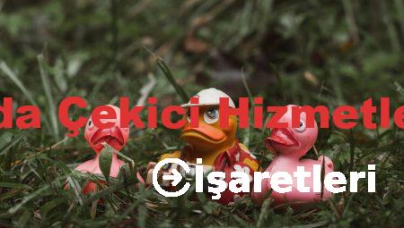 Eyüpsultan’da Çekici Hizmetlerinin Önemi
