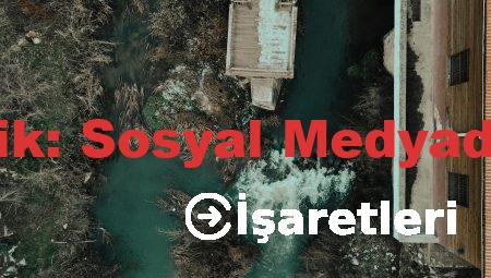 İngilizce Kursu Pendik: Sosyal Medyada Paylaşım Fırsatları