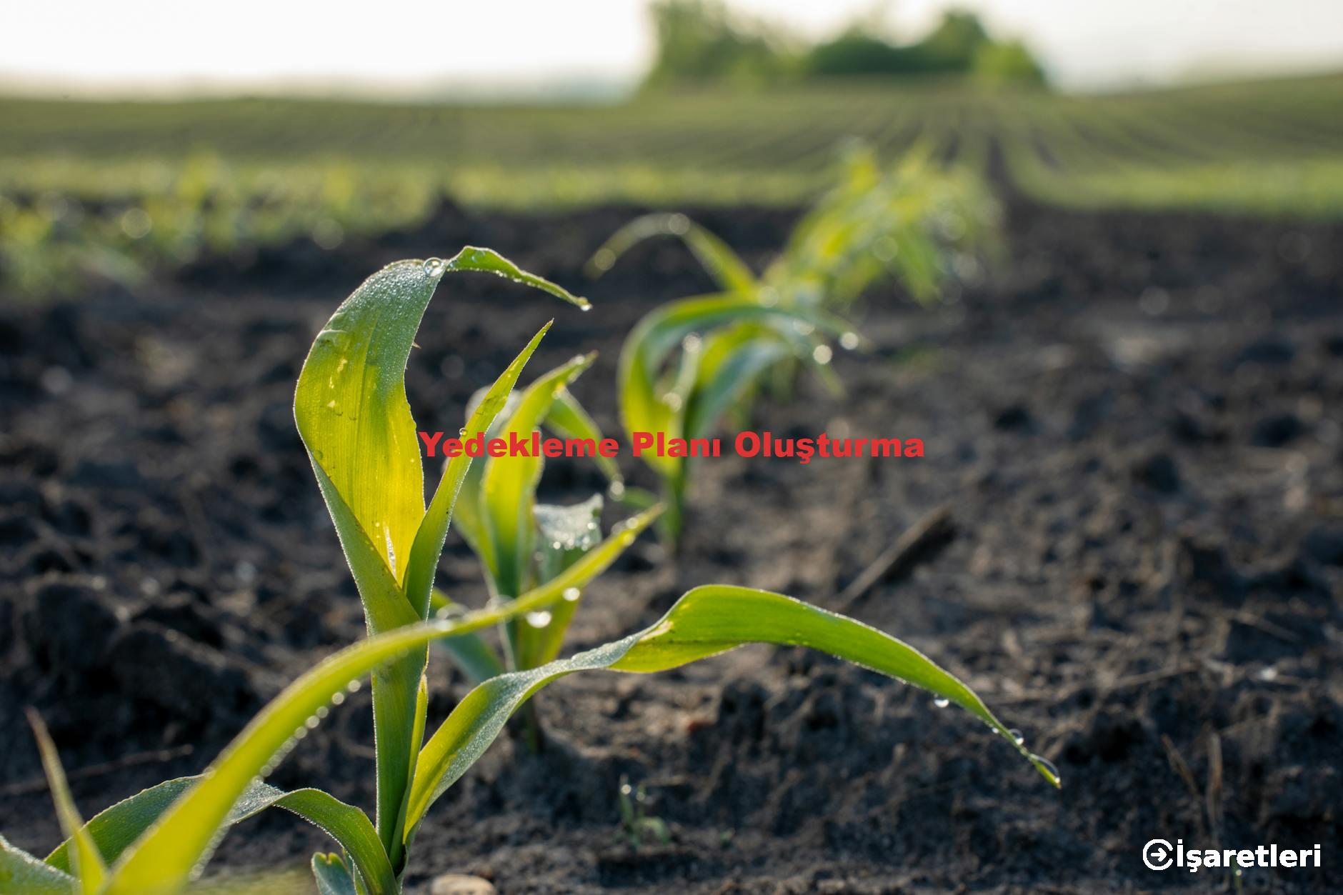 Yedekleme Planı Oluşturma