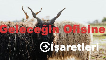 Lenovo ile Geleceğin Ofisine Adım Atın!