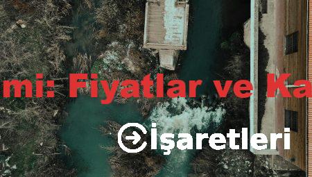 Maltepe’de Dil Eğitimi: Fiyatlar ve Kalite Karşılaştırması
