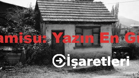 Çilekli Tiramisu: Yazın En Güzel Tatlısı