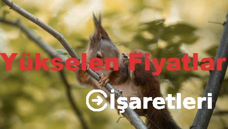 Hurdacılıkta Yükselen Fiyatlar ve Nedenleri