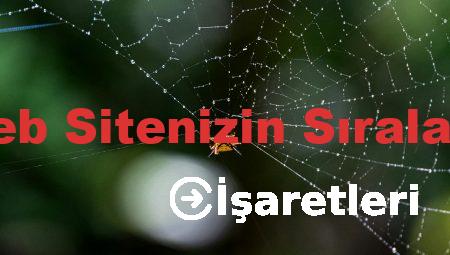 Sıra Bulucu: Web Sitenizin Sıralamasını Öğrenin