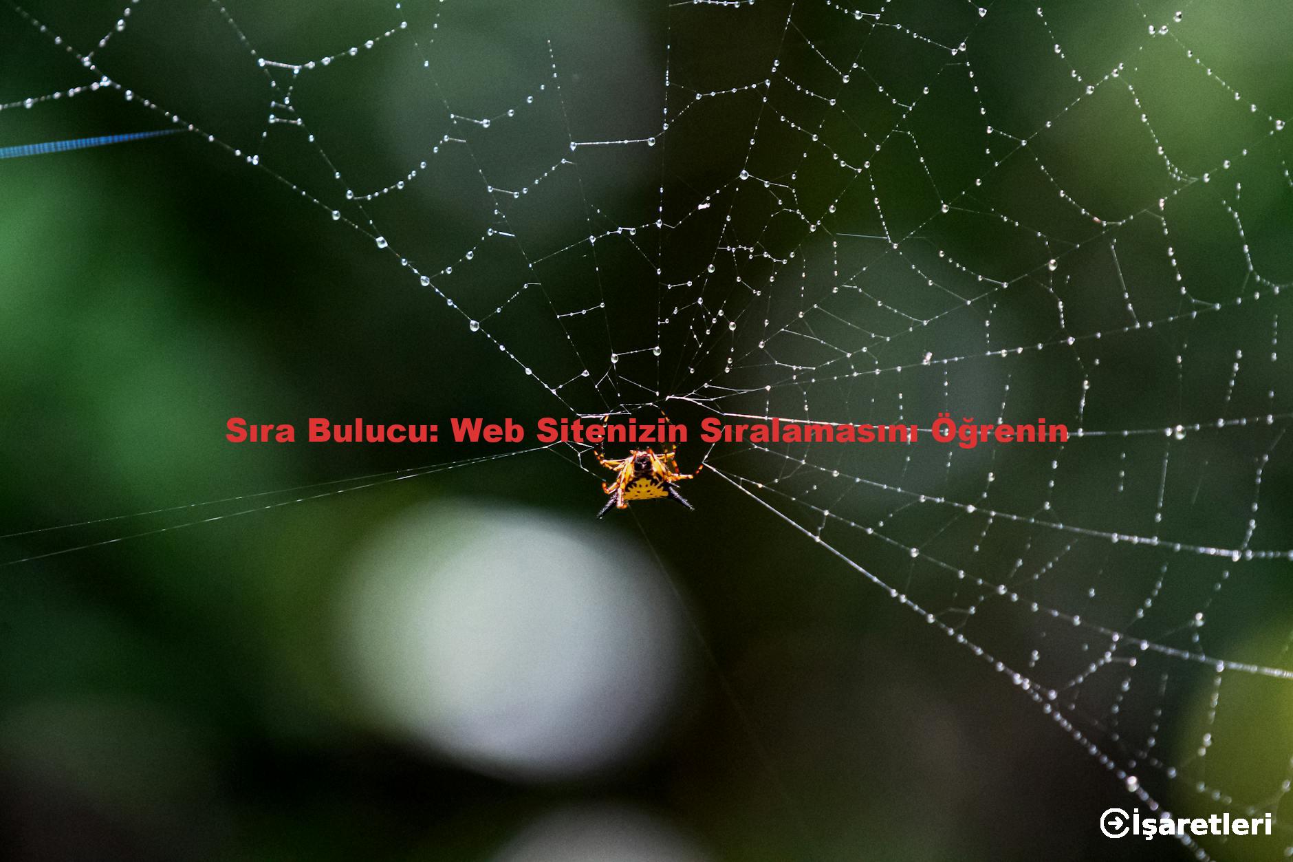 Sıra Bulucu: Web Sitenizin Sıralamasını Öğrenin