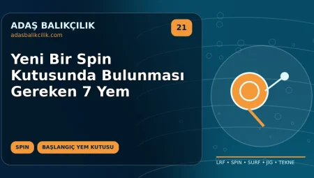 Yeni Bir Spin Kutusunda Bulunması Gereken 7 Yem